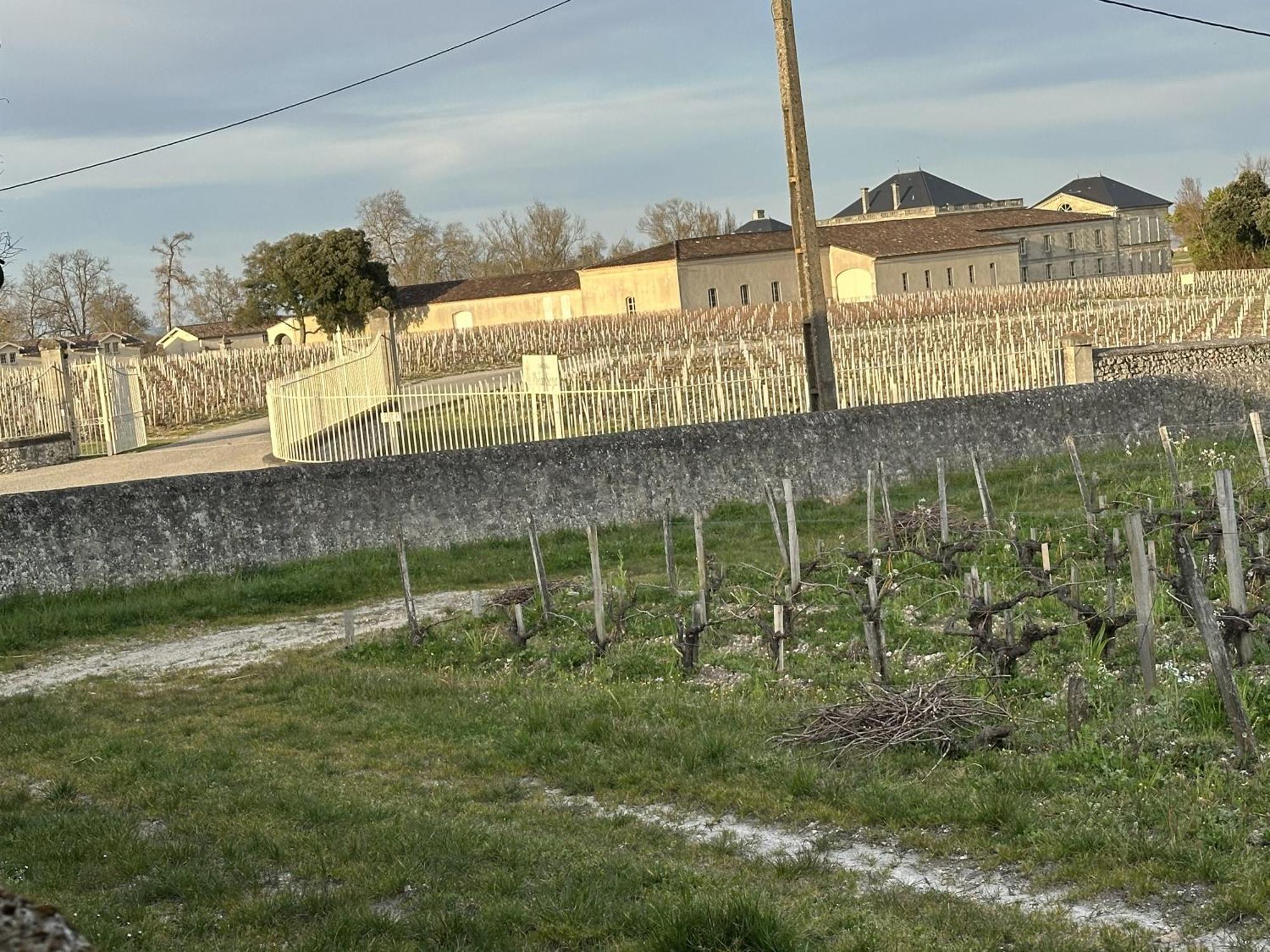 Maison Jeroboam Saint-Estèphe Eksteriør bilde
